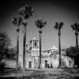 Mission Conception Black and White Square Mission Conception black and white