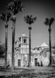 Mission Conception Black and White Vertical Mission Conception black and white