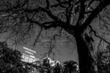 The Crockett Hotel Black and White Horizontal The Crockett Hotel black and white