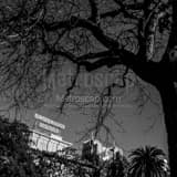 The Crockett Hotel Black and White Square The Crockett Hotel black and white