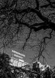 The Crockett Hotel Black and White Vertical The Crockett Hotel black and white