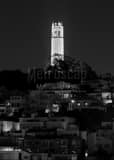 Coit Tower From Russian Hill Black and White Vertical Coit Tower From Russian Hill black and white