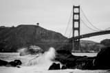 Lone Tree Overlooks Golden Gate Bridge Black and White Horizontal Lone Tree Overlooks Golden Gate Bridge black and white
