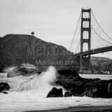 Lone Tree Overlooks Golden Gate Bridge Black and White Square Lone Tree Overlooks Golden Gate Bridge black and white