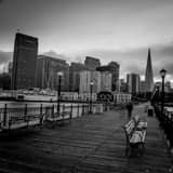 Park Benches Pier 7 Black and White Square Park Benches Pier 7 black and white