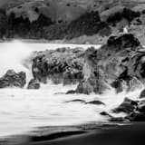 Single Sea Gull On Rocks Pacific Ocean Black and White Square Single Sea Gull On Rocks Pacific Ocean black and white