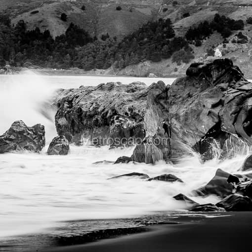 Matte Black MDF Framed Black and White San Francisco Photograph: A Lone Sea Gull in a Square Matte Black MDF Frame