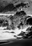 Single Sea Gull On Rocks Pacific Ocean Black and White Vertical Single Sea Gull On Rocks Pacific Ocean black and white