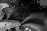 Forsyth Fountain Savannah Georgia Black and White Horizontal Forsyth Fountain Savannah Georgia black and white