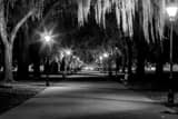 Forsyth Park Central Path Black and White Horizontal Forsyth Park Central Path black and white