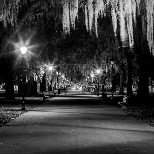 Matte Black MDF Framed Black and White Savannah Photograph: The Central Path Through Forsyth Park in a Square Matte Black MDF Frame