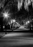 Forsyth Park Central Path Black and White Vertical Forsyth Park Central Path black and white