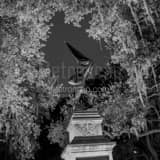 Jasper Monument Madison Square Black and White Square Jasper Monument Madison Square black and white