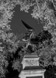 Jasper Monument Madison Square Black and White Vertical Jasper Monument Madison Square black and white
