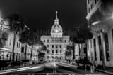 Savannah City Hall Black and White Horizontal Savannah City Hall black and white