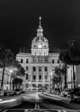 Savannah City Hall Black and White Vertical Savannah City Hall black and white