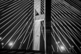 Talmadge Bridge Cables Black and White Horizontal Talmadge Bridge Cables black and white