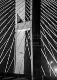 Talmadge Bridge Cables Black and White Vertical Talmadge Bridge Cables black and white