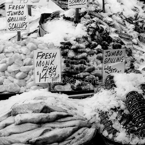 Matte Black MDF Framed Black and White Seattle Photograph: Fresh Fish at Seattle Public Market in a Square Matte Black MDF Frame