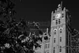 Anheuser Busch Main Brewhouse Black and White Horizontal Anheuser Busch Main Brewhouse black and white