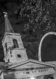 Basilica St Louis Black and White Vertical Basilica St Louis black and white