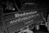 Budweiser Wagon Black and White Horizontal Budweiser Wagon black and white