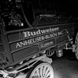 Budweiser Wagon Black and White Square Budweiser Wagon black and white