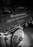 Budweiser Wagon Black and White Vertical Budweiser Wagon black and white