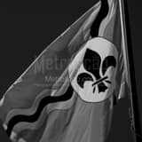 City Of St Louis Flag Black and White Square City Of St Louis Flag black and white