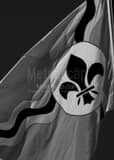 City Of St Louis Flag Black and White Vertical City Of St Louis Flag black and white