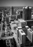 Downtown St Louis From Arch Observatory Black and White Vertical Downtown St Louis From Arch Observatory black and white