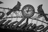 St Louis Cardinals Clock Busch Stadium Black and White Horizontal St Louis Cardinals Clock Busch Stadium black and white