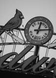 St Louis Cardinals Clock Busch Stadium Black and White Vertical St Louis Cardinals Clock Busch Stadium black and white