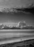 Gulf Of Mexico Black and White Vertical Gulf Of Mexico black and white