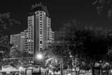Progress Plaza Williams Park Black and White Horizontal Progress Plaza Williams Park black and white