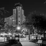 Progress Plaza Williams Park Black and White Square Progress Plaza Williams Park black and white