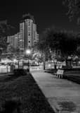 Progress Plaza Williams Park Black and White Vertical Progress Plaza Williams Park black and white