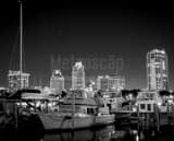 St Petersburg Skyline And Marina Black and White Horizontal St Petersburg Skyline And Marina black and white