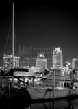 St Petersburg Skyline And Marina Black and White Vertical St Petersburg Skyline And Marina black and white