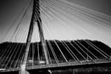 Steubenville Bridge Black and White Horizontal Steubenville Bridge black and white