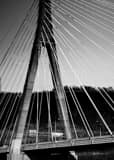 Steubenville Bridge Black and White Vertical Steubenville Bridge black and white