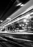 Channelside Drive Tampa Riverwalk Black and White Vertical Channelside Drive Tampa Riverwalk black and white