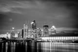 Downtown Tampa Black and White Horizontal Downtown Tampa black and white