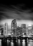 Downtown Tampa City Skyline Black and White Vertical Downtown Tampa City Skyline black and white