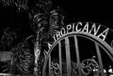 La Tropicana Gate Ybor City Black and White Horizontal La Tropicana Gate Ybor City black and white