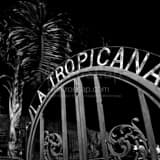 La Tropicana Gate Ybor City Black and White Square La Tropicana Gate Ybor City black and white