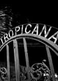 La Tropicana Gate Ybor City Black and White Vertical La Tropicana Gate Ybor City black and white