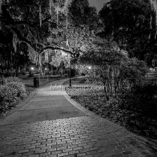 Matte Black MDF Framed Black and White Tampa Photograph: Spanish Moss Hangs from Trees Near the Plant Museum in a Square Matte Black MDF Frame