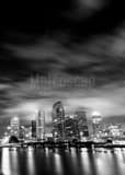 Tampa Skyline Black and White Vertical Tampa Skyline black and white