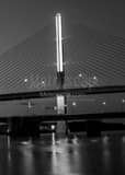 Glass City Skyway Bridge Black and White Vertical Glass City Skyway Bridge black and white